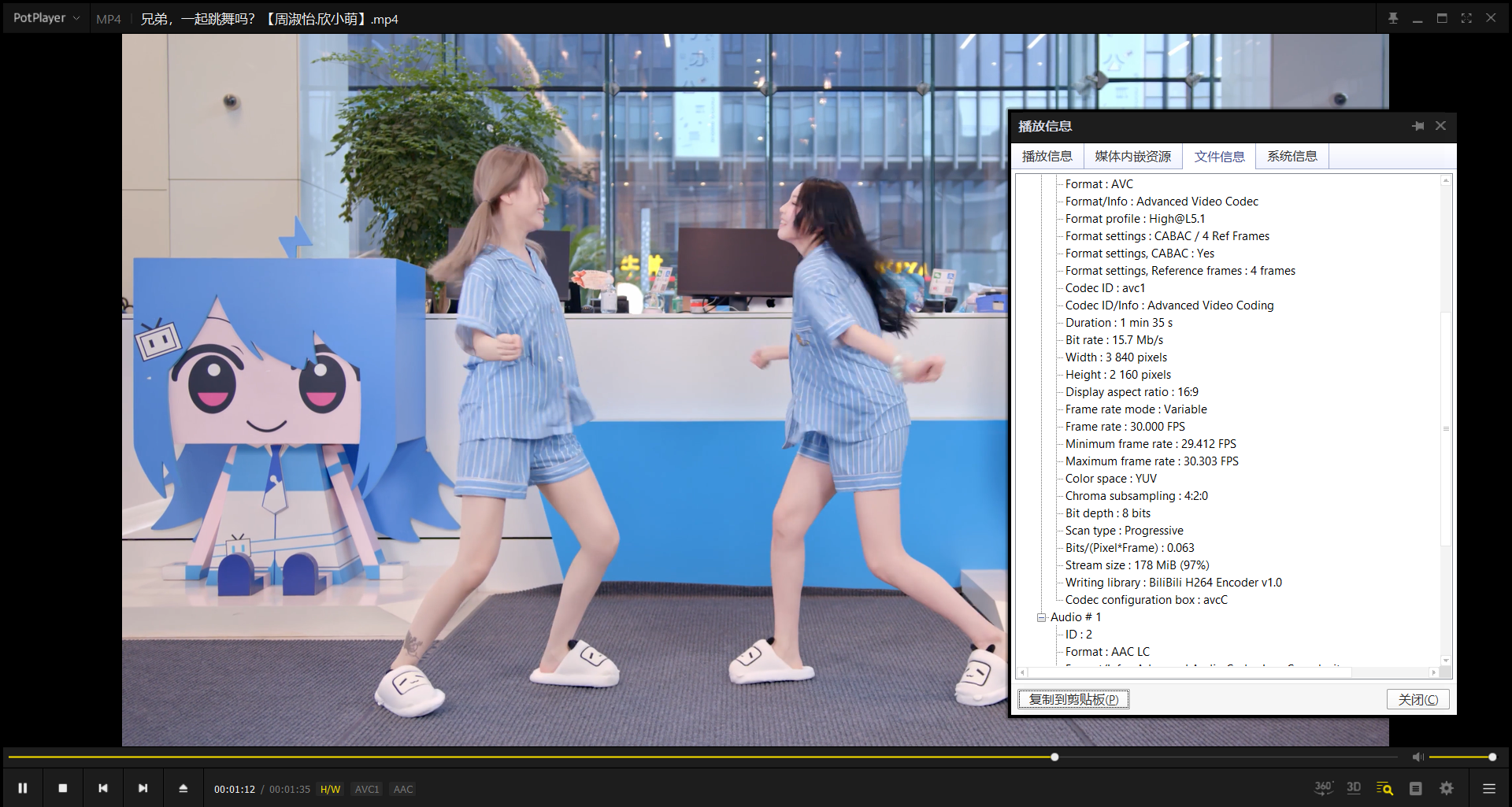 BBDownT 下载完成后的 MP4 文件播放截图